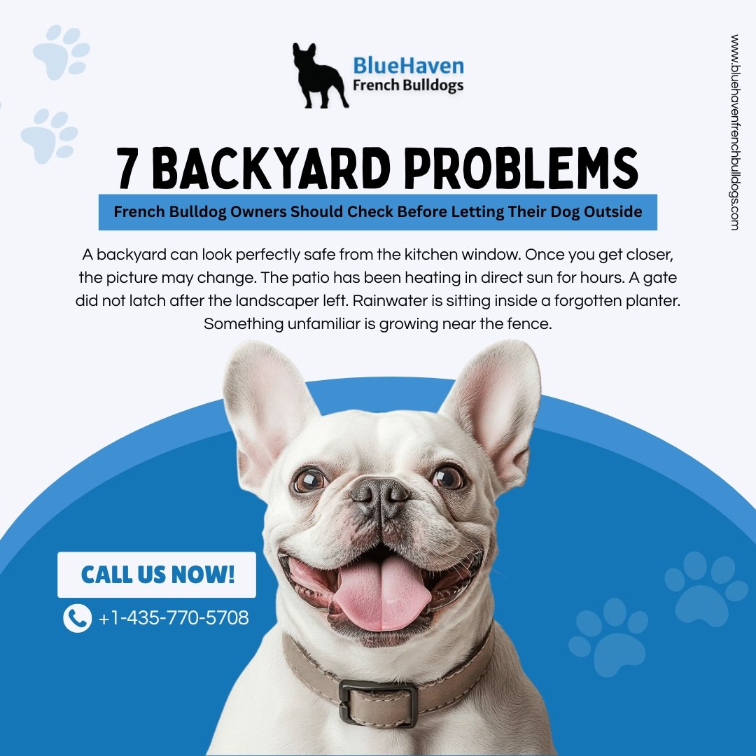 7 Backyard Problems
